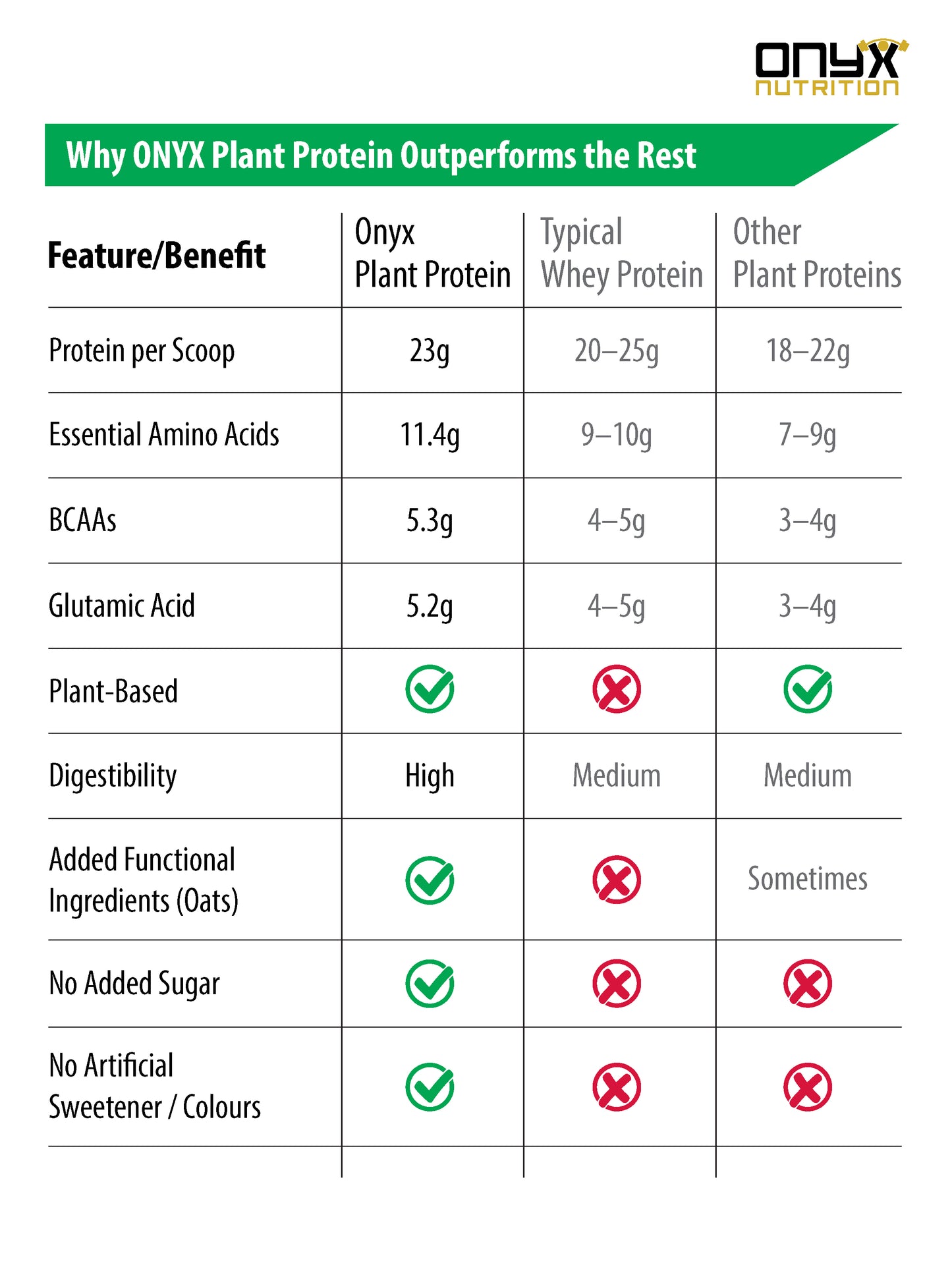 Belgian Chocolate - Plant Based Protein Powder 800g Jar