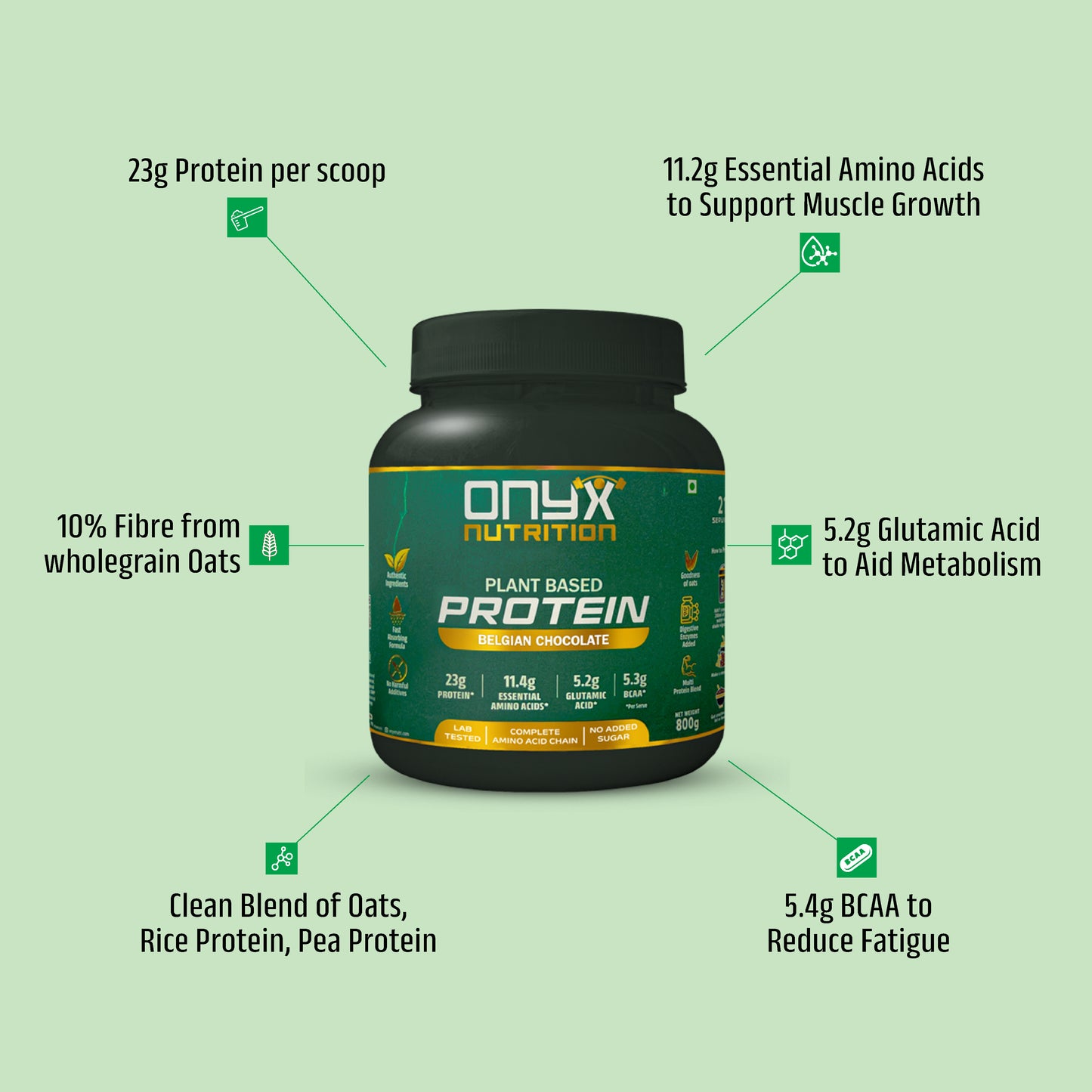 Belgian Chocolate - Plant Protein Powder 800g Jar