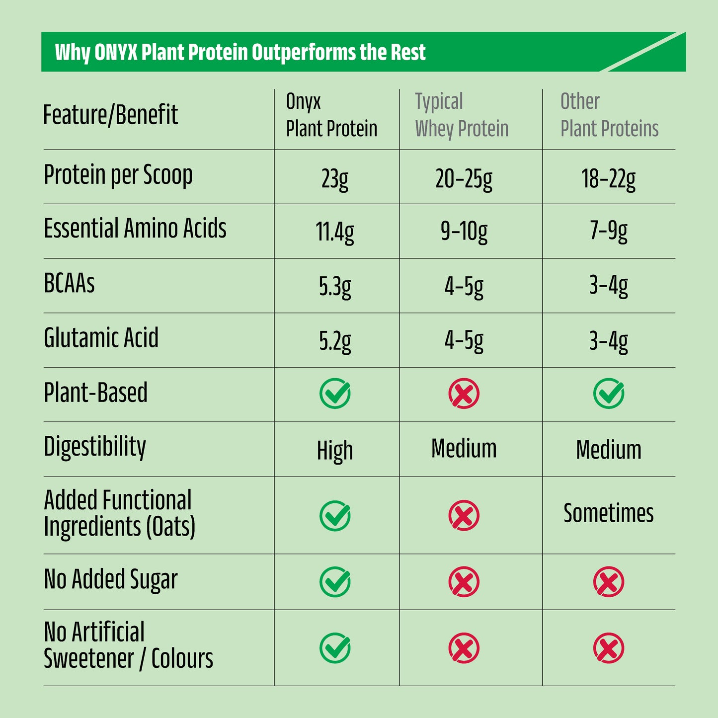Belgian Chocolate - Plant Protein Powder 800g Jar