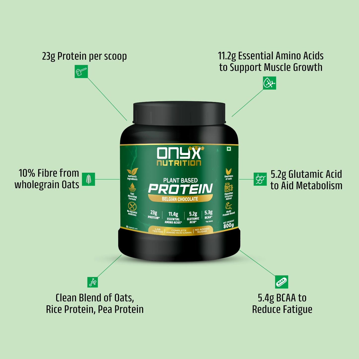 Chocolate Power Pro Bundle (2 Belgian Chocolate Plant Based Protein Jars + 1 Shaker)