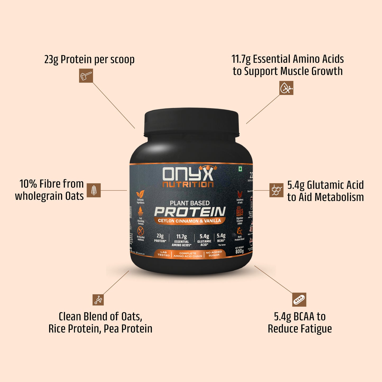 Ceylon Cinnamon & Vanilla -  Plant Based Protein Powder 800g Jar