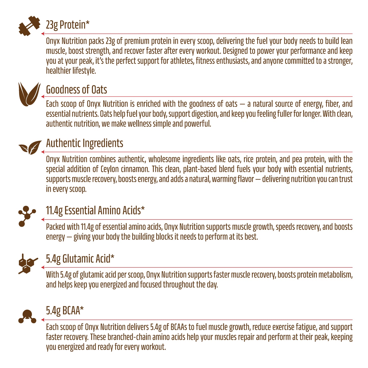 Ceylon Cinnamon & Vanilla -  Plant Based Protein Powder 800g Jar