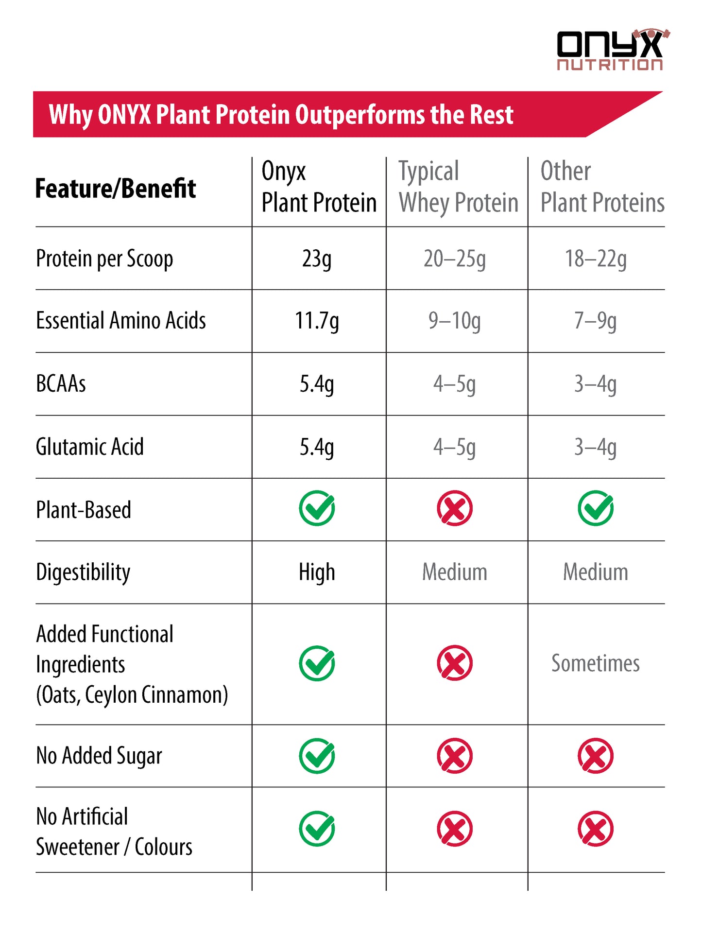 Plant protein powder Ceylon Cinnamon & Vanilla