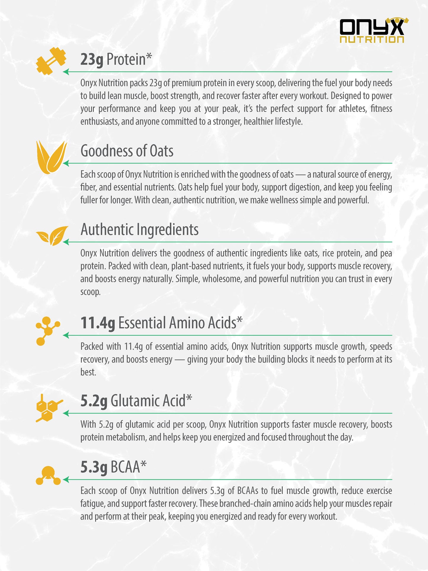 Plant-Based Protein Powder – Belgian Chocolate