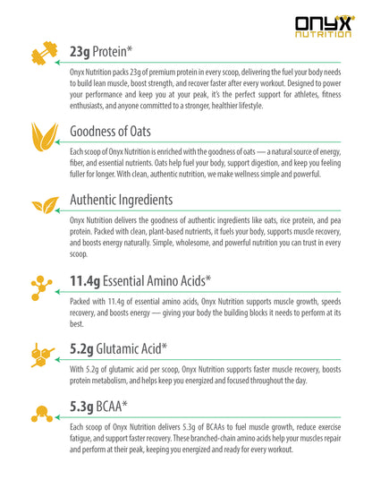 Plant-Based Protein Powder – Belgian Chocolate