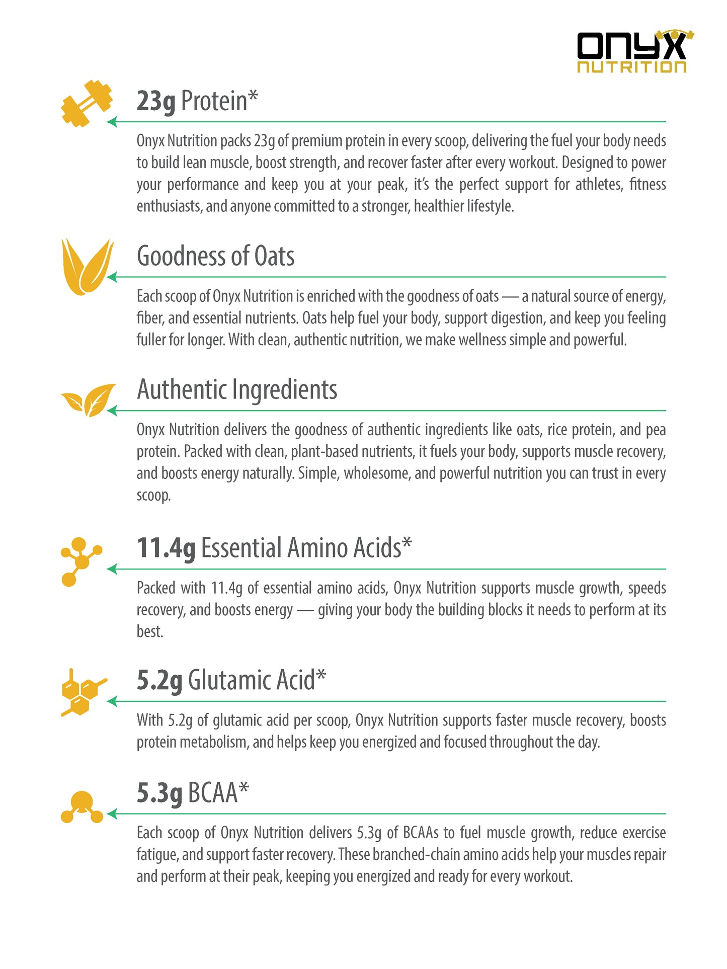 Plant-Based Protein Powder Sachet– Belgian Chocolate