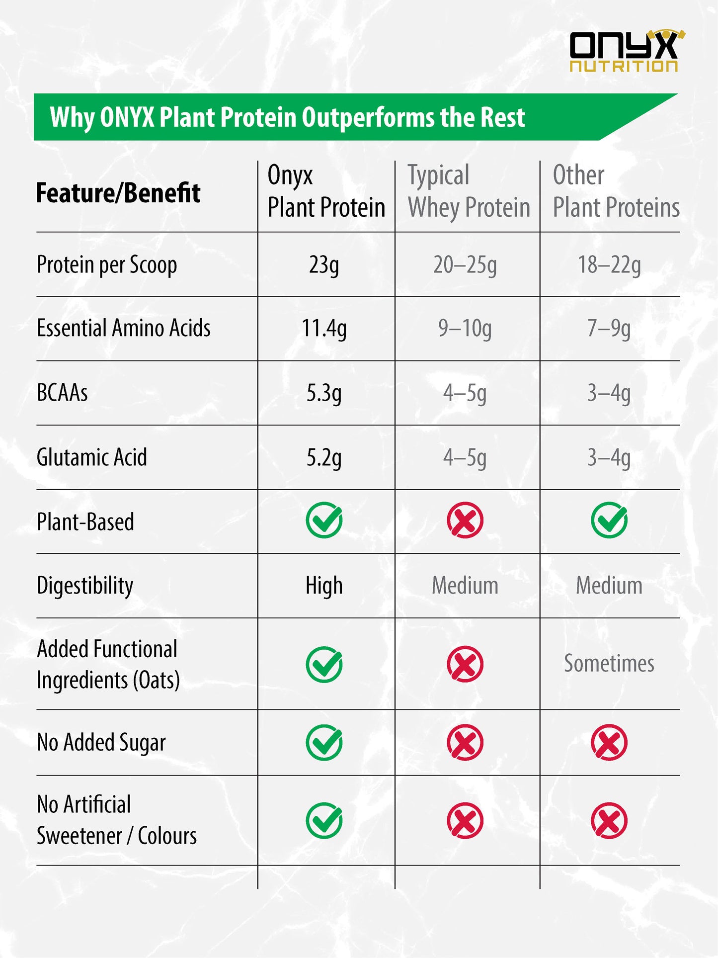 Plant-Based Protein Powder – Belgian Chocolate